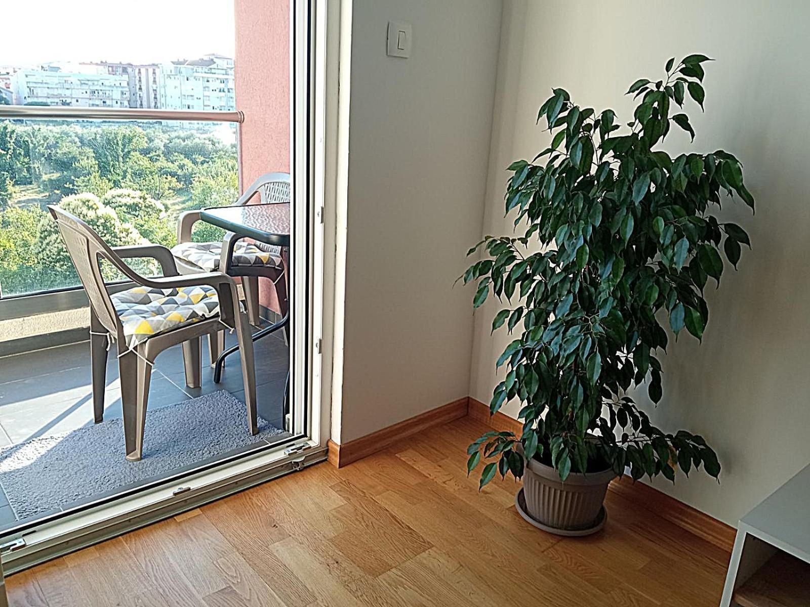Aga Apartman Подгорица Екстериор снимка
